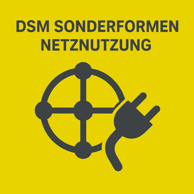 demand management DSM Special forms of grid usage