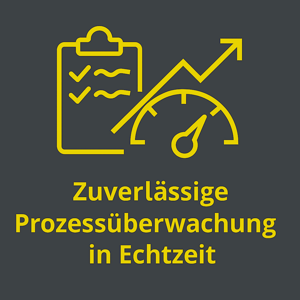 Reliable process monitoring in real time