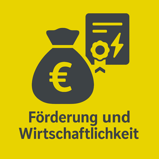 Promotion and economic efficiency