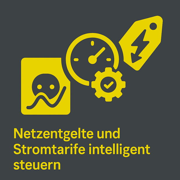 Grid charges and electricity tariffs Intelligent taxes