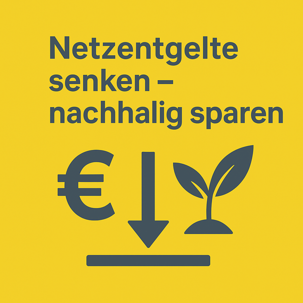 Reduce grid charges Save sustainably Primaer