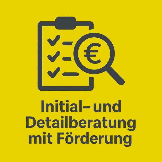 Initial and detailed advice with funding