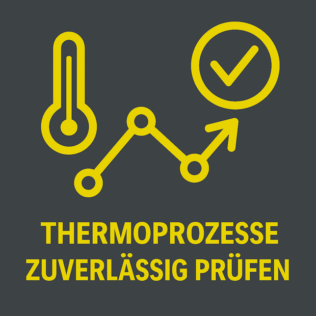 Reliable testing of thermal processes