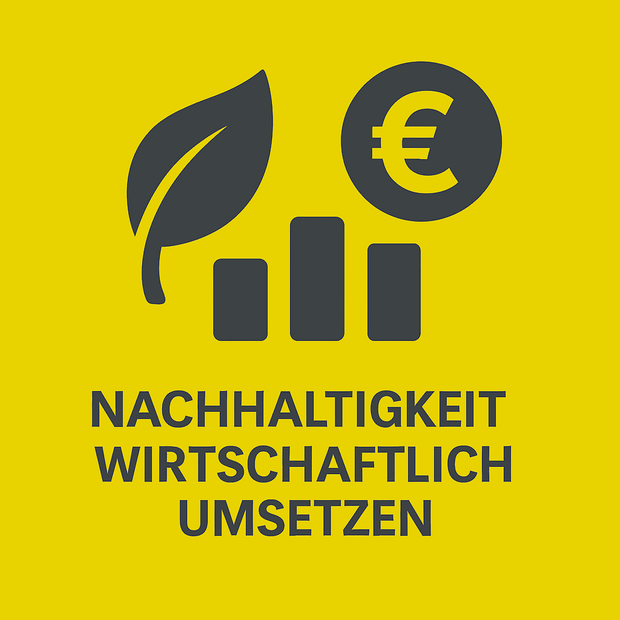 Implementing sustainability economically