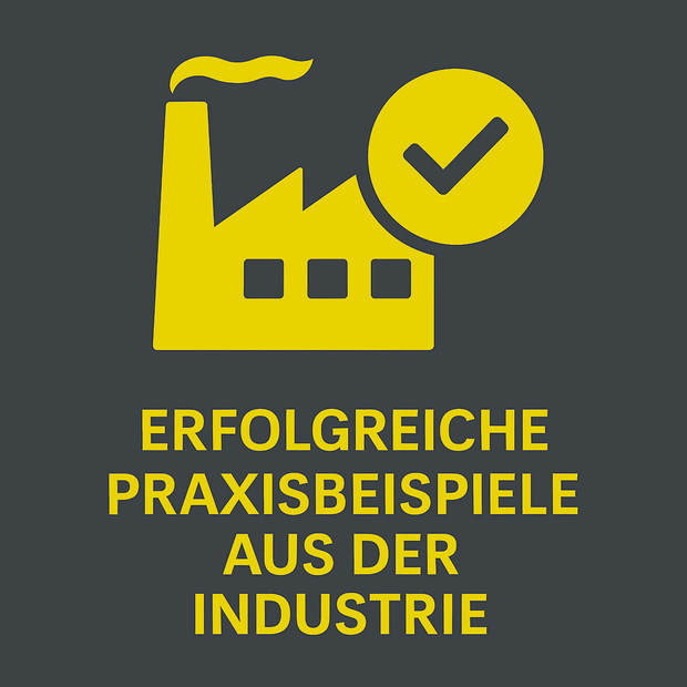 Successful practical examples from the industry