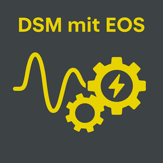 DSM With EOS Secondary 2
